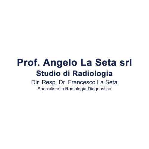 la seta logo la seta logo